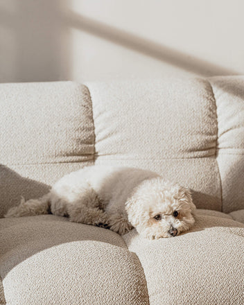 Bolbi 2-Seater Sofa