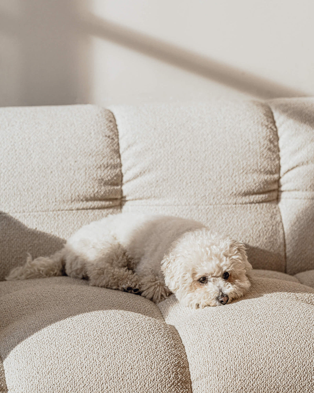 Bolbi 2-Seater Sofa