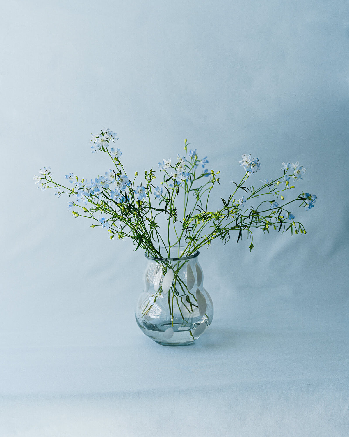 Dam Vase