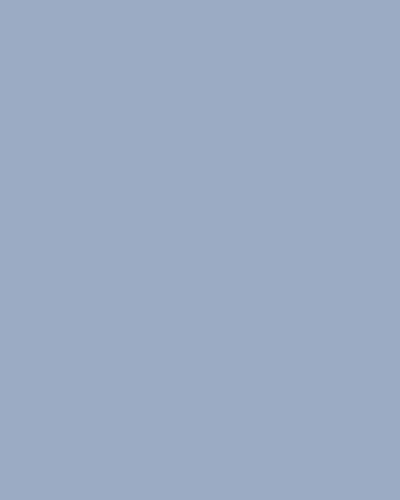Wood & Plywood Lacquer Sample – Frosty Blue